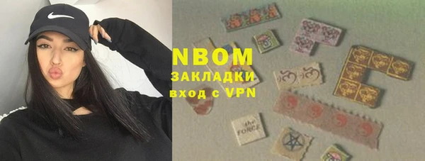стаф Алзамай