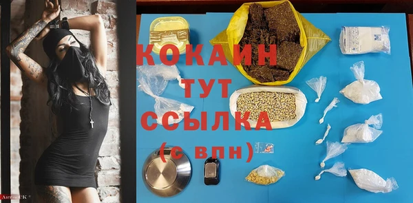стаф Алзамай