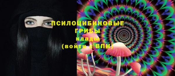 стафф Армянск