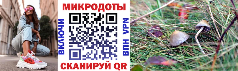 Псилоцибиновые грибы мухоморы Волгодонск